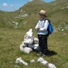 Ajnur